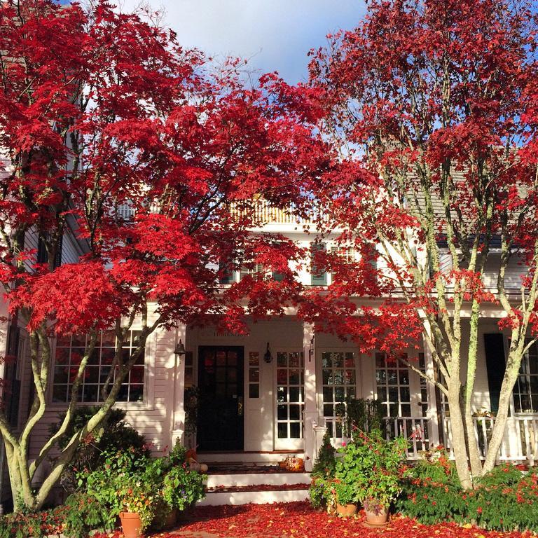 Hob Knob Hotel Edgartown Luaran gambar
